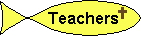Information on the teachers